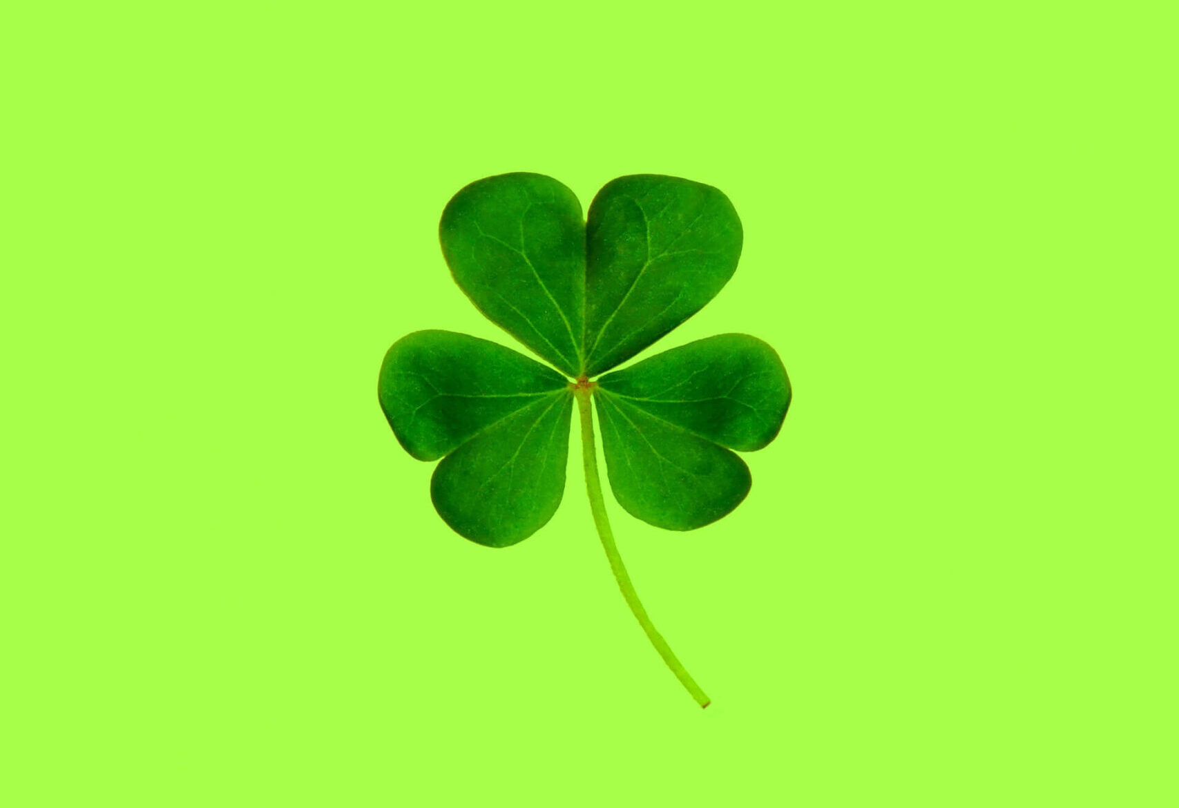 Green flags: 7 questions an information architecture consultant may ask on your first call