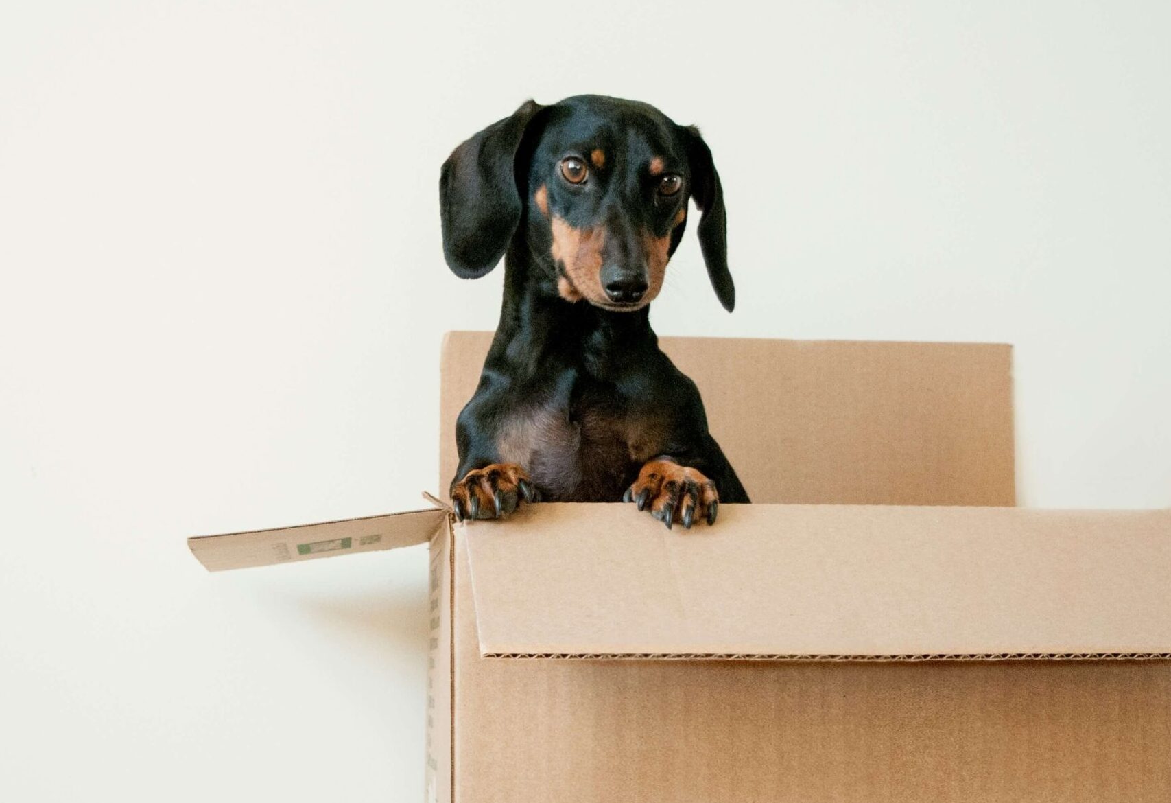 What moving taught me about content strategy