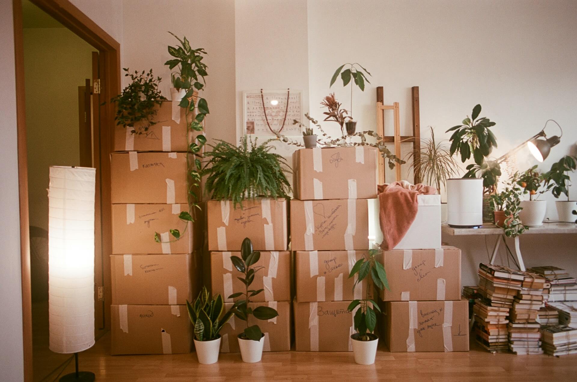 How to organize 3 acquired companies into one coherent website